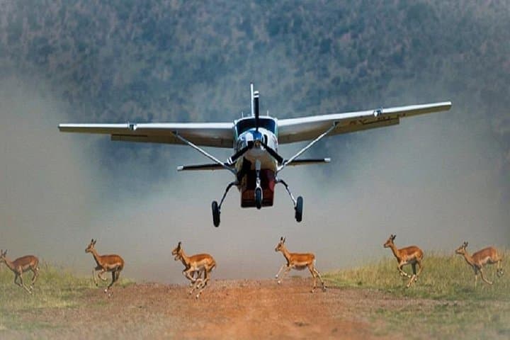 3-Day Maasai Mara Luxury Jeep Safari from Nairobi — Sarova Lodge Experience photo 1