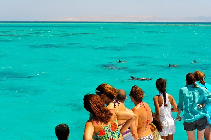 Key West Dolphin and Snorkel Experience: Explore Coral Reefs and Sunset Cruises photo 4
