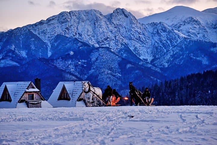 Zakopane Horse-Drawn Sleigh Rides and Highland Food Tasting photo 3