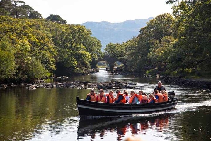 Exploring Killarney Valley and National Park: An Immersive Day Tour in Ireland’s Wild Heart