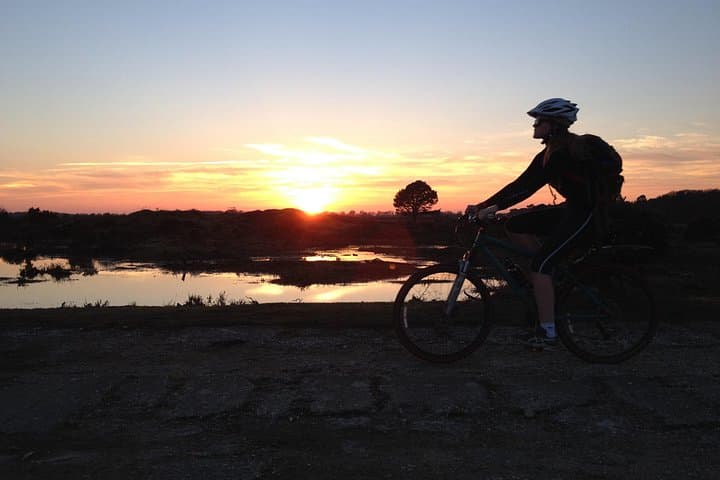 New Forest Sunset Bike Rides — Evening Cycling in England's Ancient Woodland photo 4