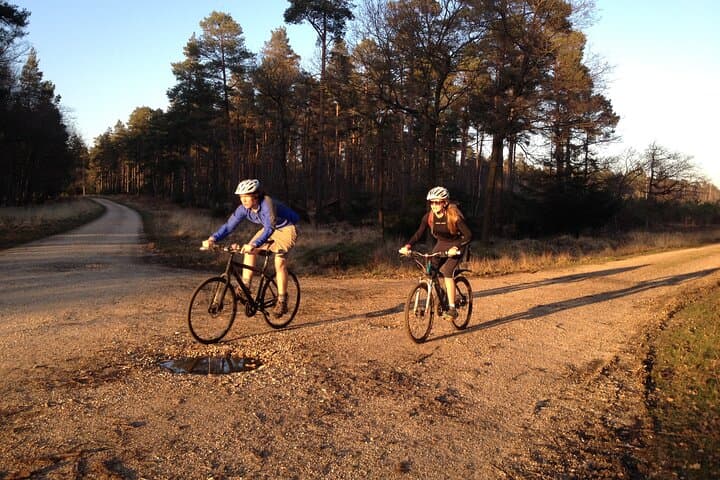 New Forest Sunset Bike Rides — Evening Cycling in England's Ancient Woodland