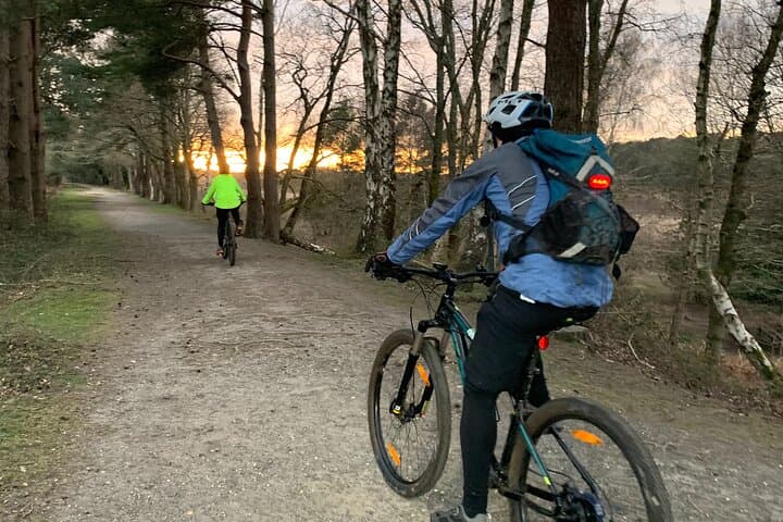 New Forest Sunset Bike Rides — Evening Cycling in England's Ancient Woodland photo 2