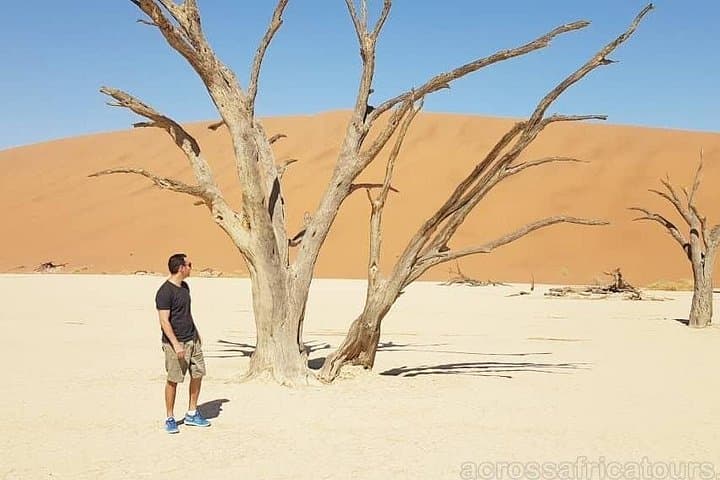 Sossusvlei to Skeleton Coast: 6-Day Namib Desert & Swakopmund Discovery photo 2