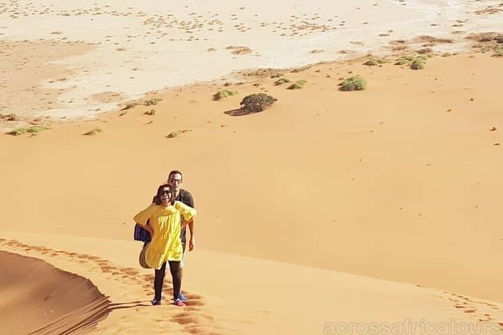 5-Day Namib Desert & Etosha Wildlife Safari (Windhoek Start) photo 5