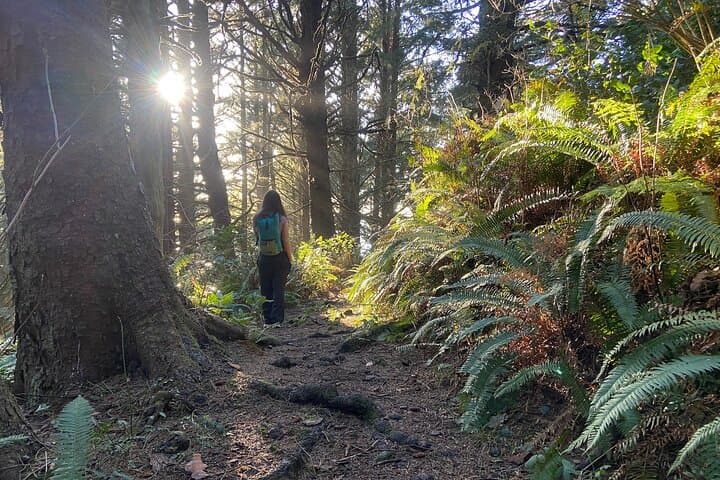 Exploring Cannon Beach: Oregon Coast Hiking and Coastal Rainforest Adventure photo 2