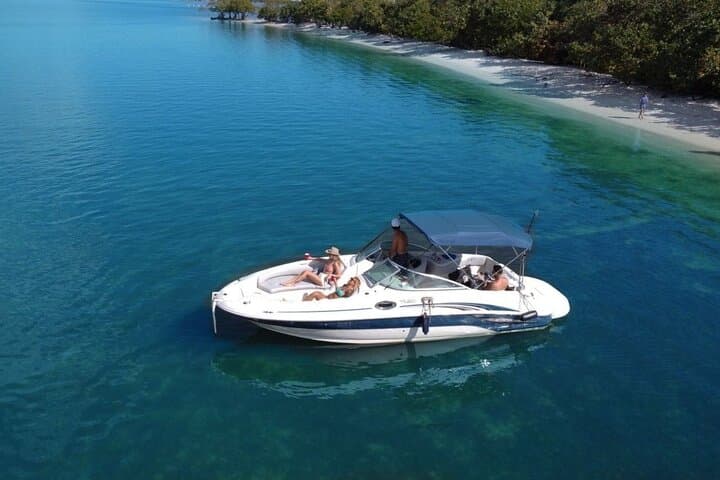 Boat Tour in Flamingo, Florida