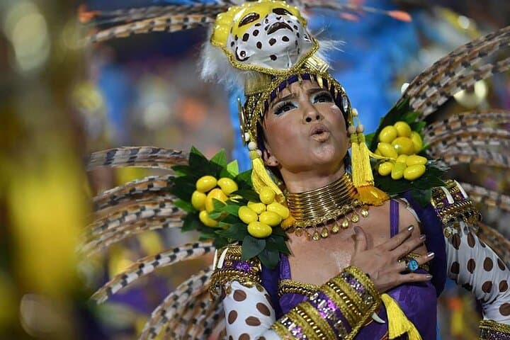 Front-Row Samba at Sapucaí: 2026 Carnival Shuttle & Sambadrome Experience photo 4