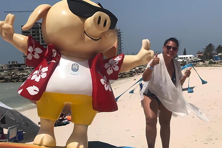 El Corchito & Pig Beach Day Trip from Mérida — Cenotes, Wildlife and Beach Club photo 6