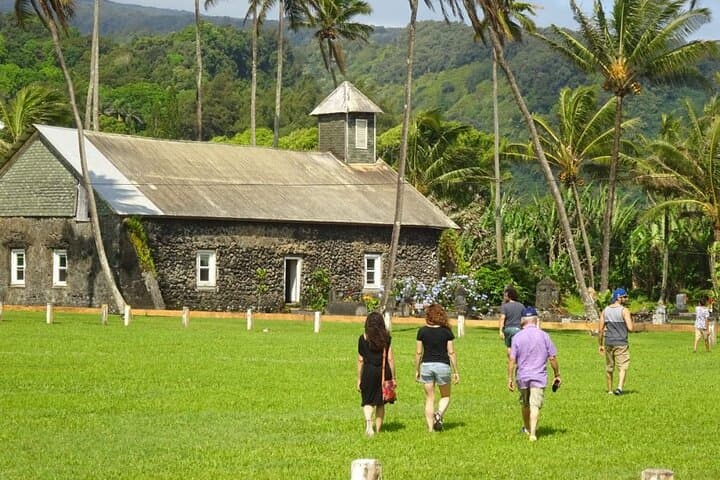 Road to Hana Waterfalls and Waiʻānapanapa Black Sand Beach: Full-Day Guided Tour from Maui photo 4
