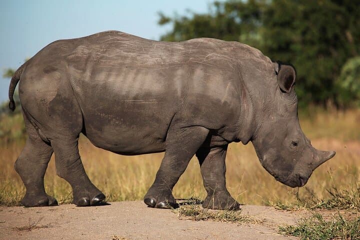 Sossusvlei to Etosha: 7-Day Namibia Camping Safari from Windhoek