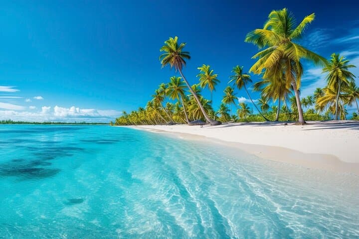Catalina Island Snorkel & Catamaran Day Trip from Punta Cana