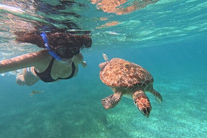 Costa Maya Snorkel with Turtles: Mahahual Reef Tour