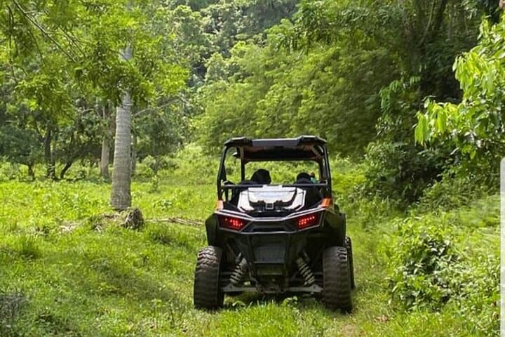 Rastasafari UTV & Negril Catamaran Adventure with Horseback and Bamboo Rafting photo 6