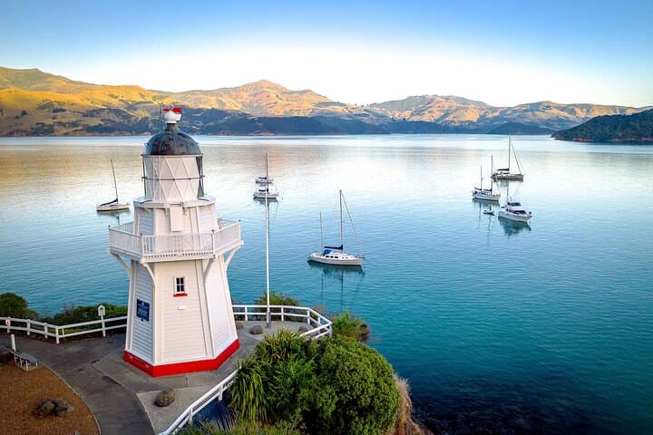 Akaroa and Banks Peninsula Private Shore Excursion from Lyttelton photo 5