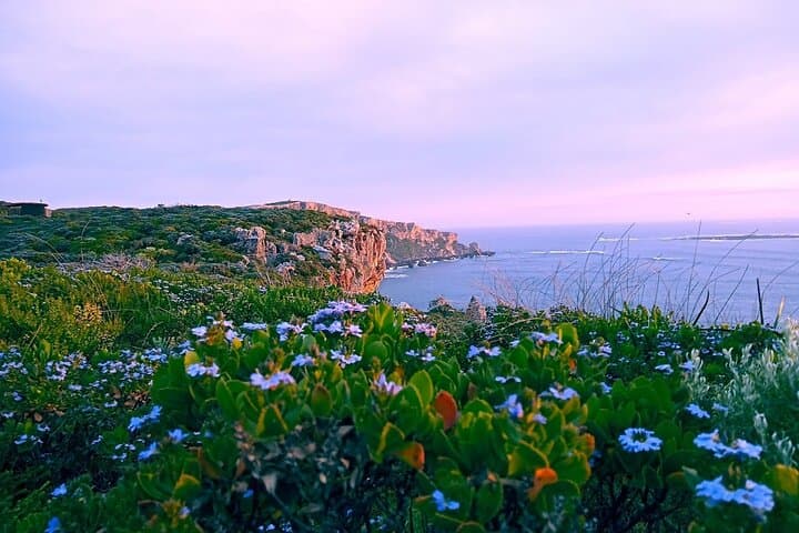 4-Day Pink Lake, Kalbarri & Margaret River Tour — Pinnacles, Dunes & Jetty photo 6
