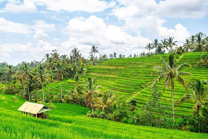 North Bali Private Day Tour: Tanah Lot, Jatiluwih Rice Terraces & Banyumala Waterfall photo 3
