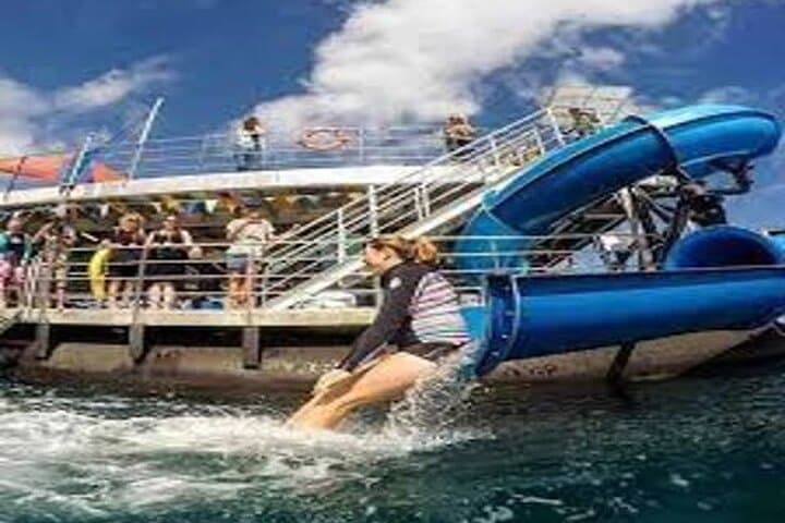Helicopter Day Trip to Great Barrier Reef from Cairns — Pontoon Snorkel Experience photo 2