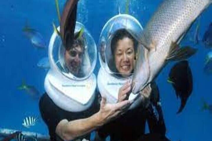 Helicopter Day Trip to Great Barrier Reef from Cairns — Pontoon Snorkel Experience photo 5