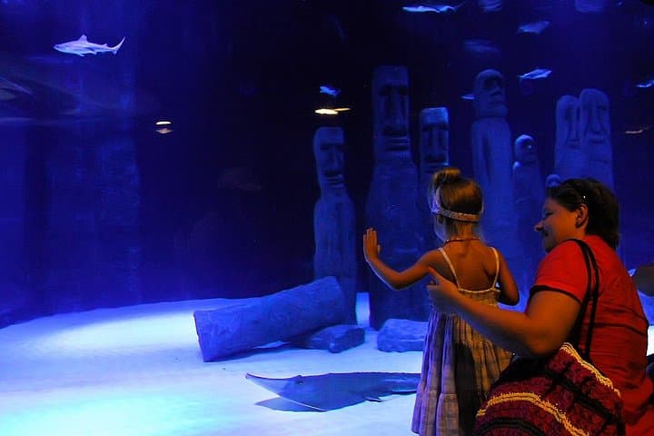 Antalya Tunnel Aquarium & Face2Face Wax Museum — Tunnel, Tanks, and Transfers