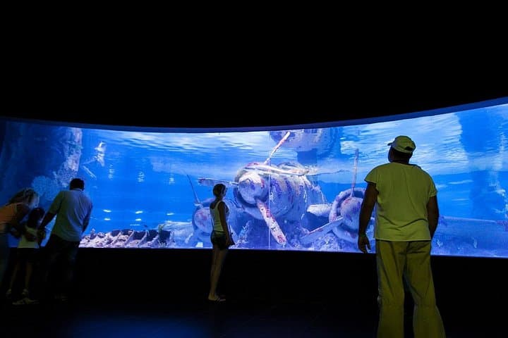 Antalya Tunnel Aquarium & Face2Face Wax Museum — Tunnel, Tanks, and Transfers photo 6