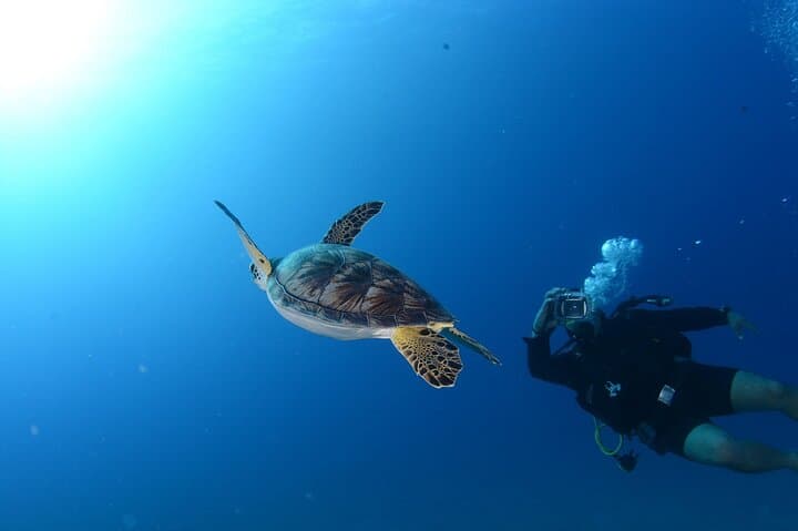 Antalya Scuba Diving: 2-Dive Boat Trip with Lunch and Pickup photo 5