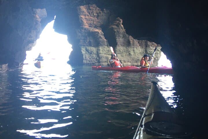 Sea-Cave Kayak Safari: Wildlife & Bushcraft in the English Riviera photo 4