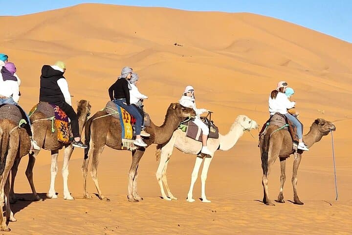Marrakech to the Sahara: 8-Day Small-Group Journey Across the Atlas & Erg Chebbi photo 3