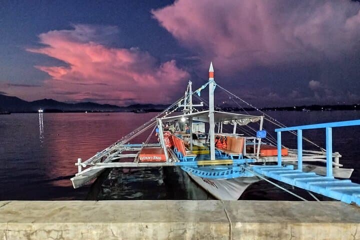 Moonlit Mangroves: Puerto Princesa Firefly Bay Cruise with Dinner photo 3