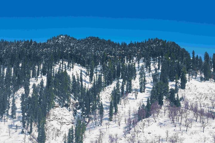 Manali, Kullu & Solang Valley One-Day Sightseeing and Paragliding Tour photo 3