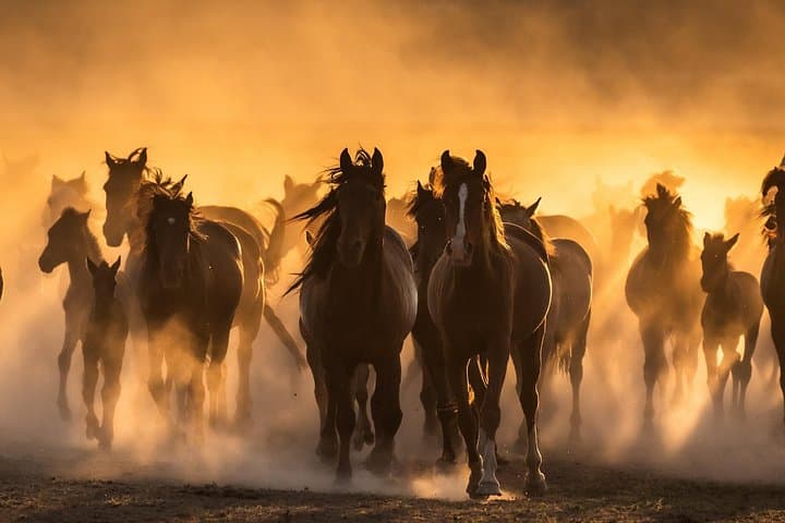 Sunset Horseback Riding in Cappadocia: Göreme Love Valley Tour photo 2