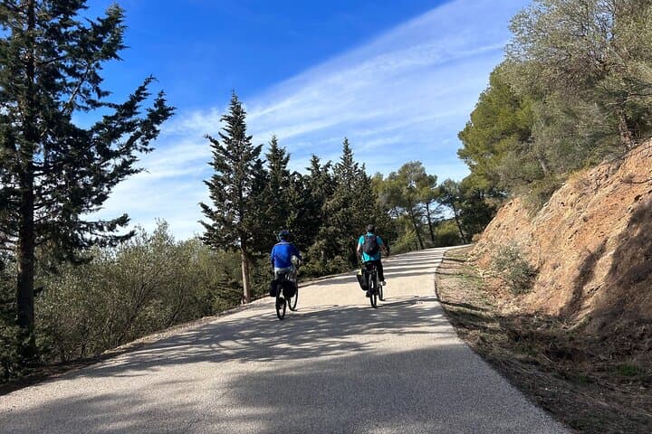 Montes of Málaga E-bike Tour: Coastal Views & Pine-Forest Trails photo 2