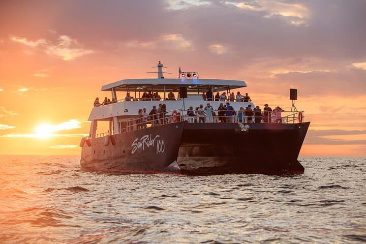 Cabo San Lucas Whale-Watching Dinner Cruise — Humpbacks, The Arch & Open Bar photo 6