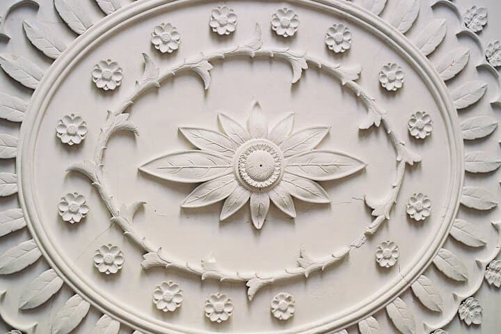 Walk the Ashley River: Interpreter-Guided Tour of Drayton Hall Historic Plantation photo 4