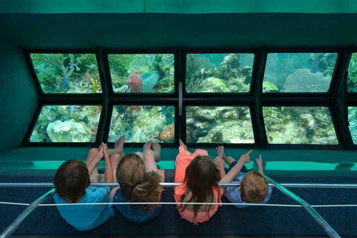 Key West Glass-Bottom Boat Tour: Coral Reef Cruise & Sunset Option