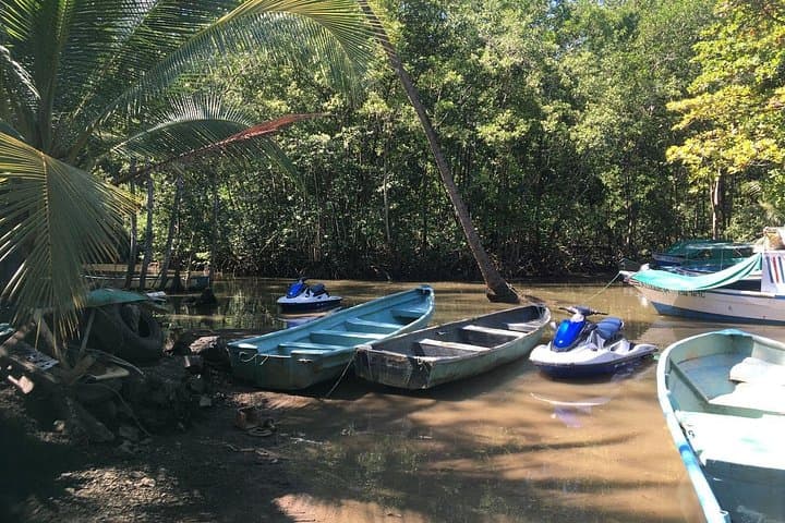 Jet Ski the Mangroves of Punta Mala — Guided Osa Peninsula Wildlife Ride photo 4