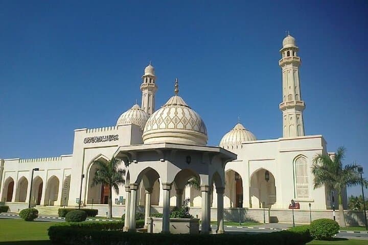 Salalah Half-Day City Tour — Frankincense, Mosques & Coastal Plantations photo 1