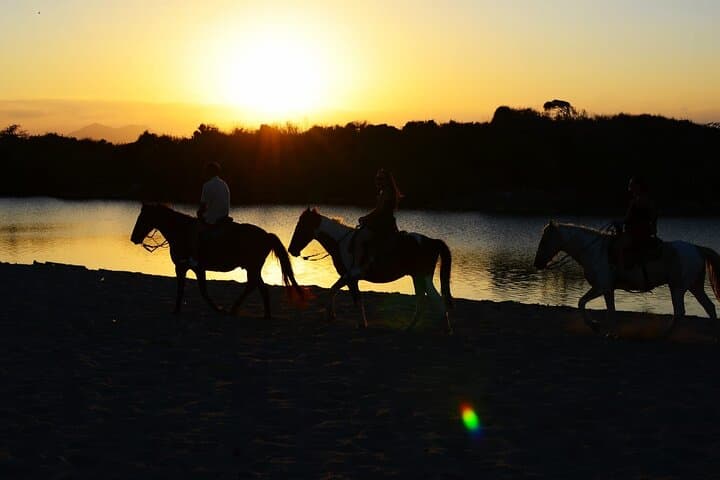 Sunset Horseback Ride to Macao Beach — 2-Hour Punta Cana Tour