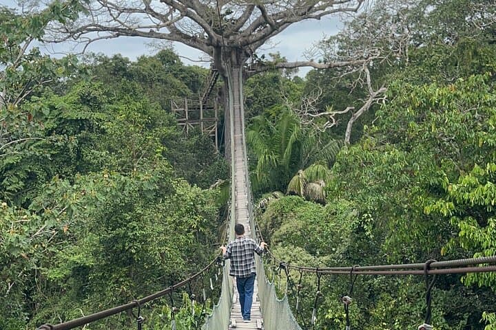 Tambopata Canopy & Kayak Day: Zipline, River Paddle, and Monkey Island Adventure photo 2