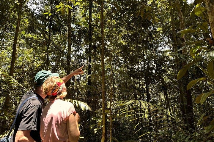 5-Day Amazon Adventure at Suchipakari Lodge — From Quito into the Napo photo 5