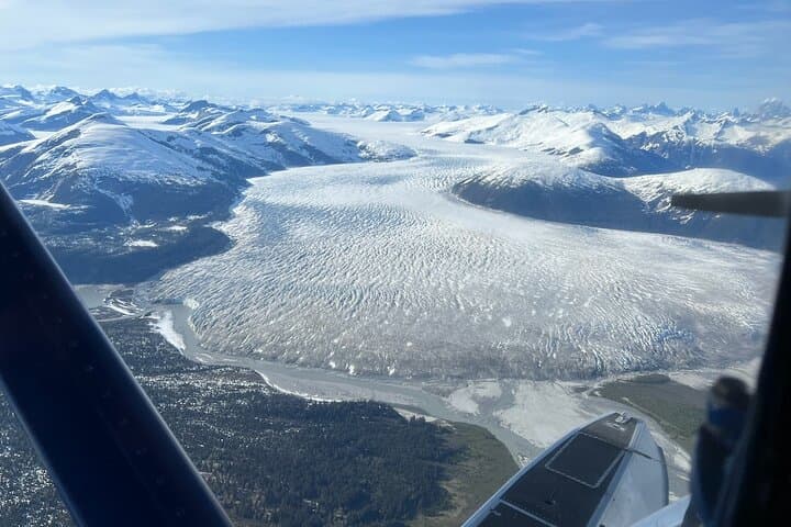 Private Seaplane Bear Viewing Near Juneau — Admiralty Island Brown Bears photo 3