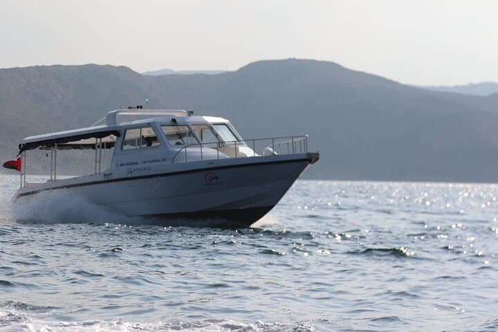 Dolphin Watching in Muscat: Oman's Coastal Magic Boat Tour photo 4