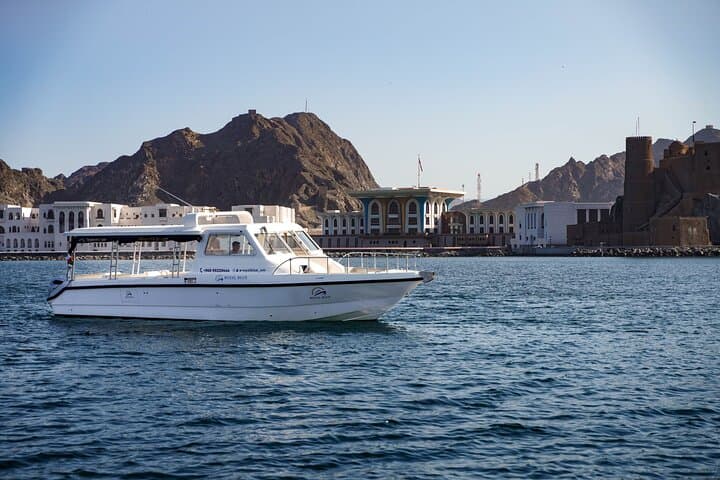 Dolphin Watching in Muscat: Oman's Coastal Magic Boat Tour photo 2