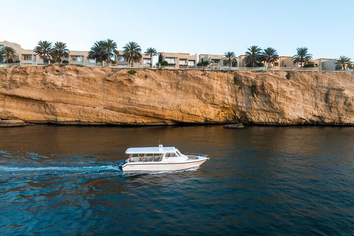 Dolphin Watching in Muscat: Oman's Coastal Magic Boat Tour photo 6