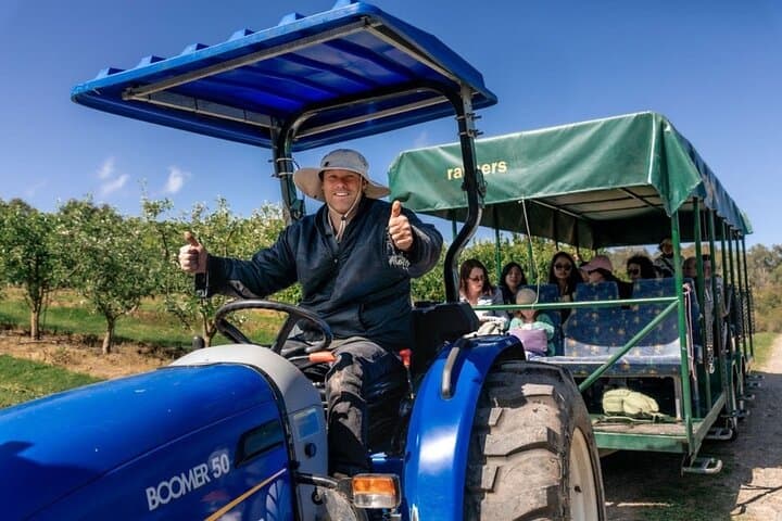 Yarra Valley & Warburton Private Fruit Picking and Redwood Forest Tour photo 3
