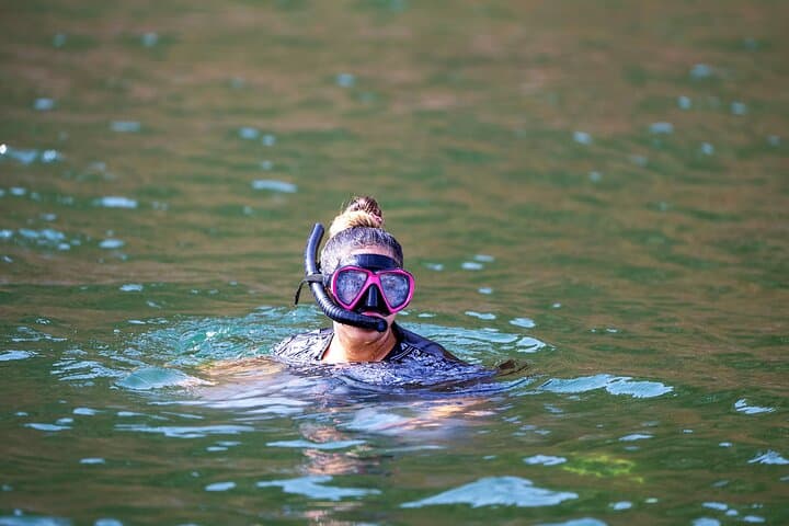 Muscat Sea Wonders: Dolphin Watching and Guided Snorkel Cruise photo 2