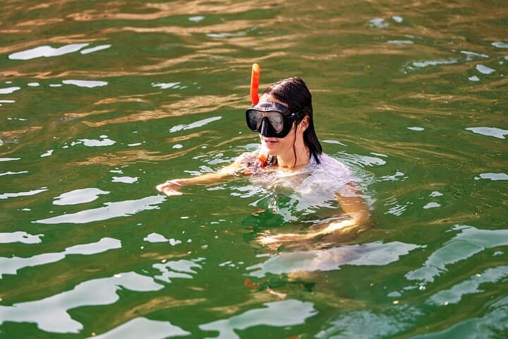 Muscat Sea Wonders: Dolphin Watching and Guided Snorkel Cruise photo 4