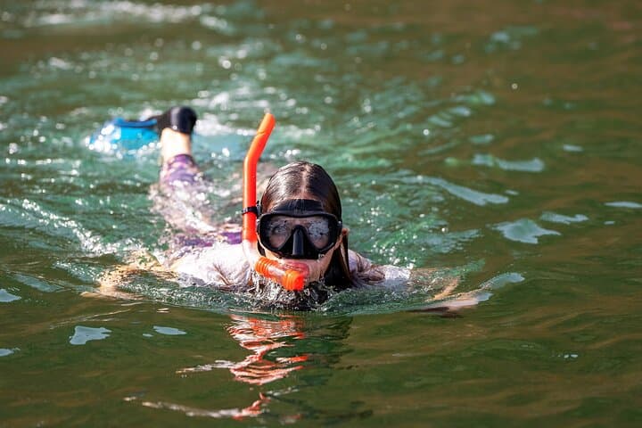 Muscat Sea Wonders: Dolphin Watching and Guided Snorkel Cruise