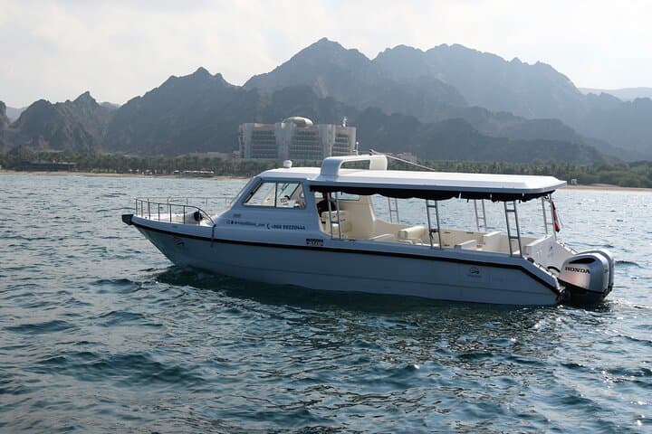 Muscat Sea Wonders: Dolphin Watching and Guided Snorkel Cruise photo 5