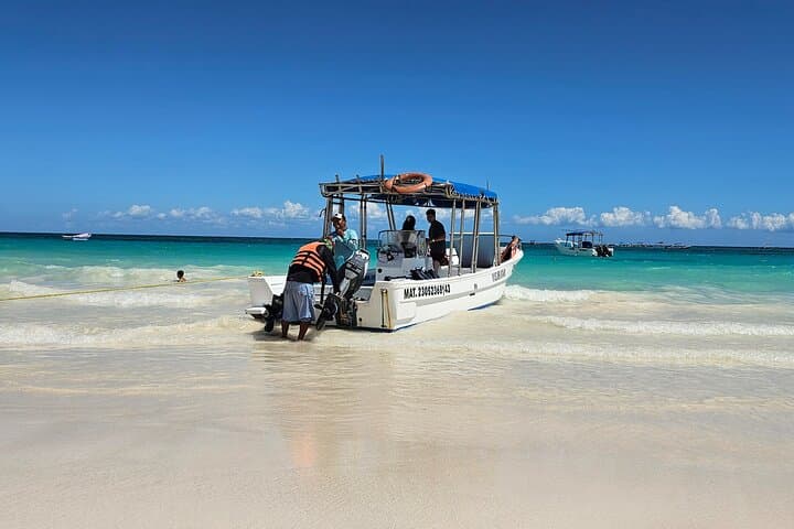 Two-Hour Snorkel on Tulum Reef — Swim with Turtles & Rays photo 5